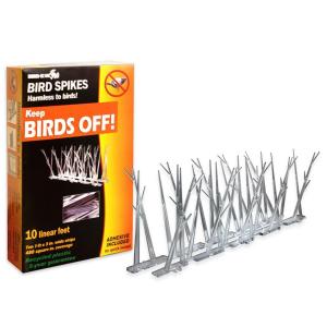 bird-spikes